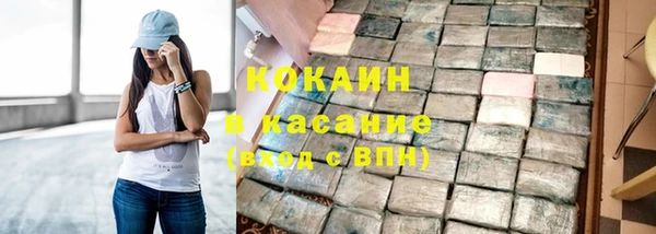 крисы Коряжма