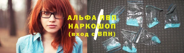 трава Кодинск